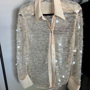 Zara Large Sequin Blouse